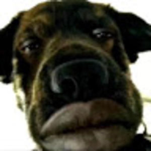 Meet your Posher, Cameron